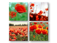 Tablou canvas Meadow of poppy poppies colaj 4 piese XOBKOL17E42