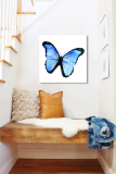 Rablou pe oglinda Fluture Albastru Mirrora 15 - 50x50 cm