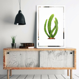 Tablou pe oglinda Cactus Mirrora 66 - 60x40 cm
