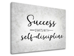 Tablou canvas motivațional About success_008