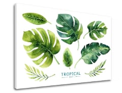 Tablouri canvas cu text Tropical set