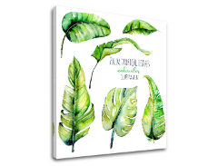 Tablouri canvas cu text Palm tropical leaves