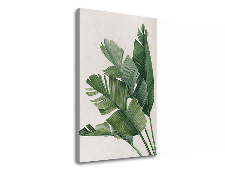 Tablouri canvas PLANTE 008