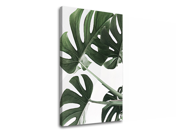 Tablouri canvas PLANTE 009