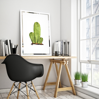 Tablou pe oglinda Cactus Mirrora 68 - 60x40 cm