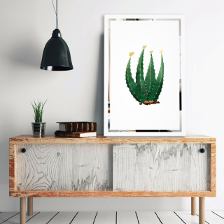 Tablou pe oglinda Cactus Mirrora 69 - 60x40 cm