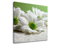 Pictură murală FLOWERS 30x30 cm