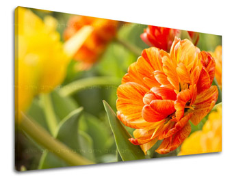 Pictură murală FLOWERS KV001E11