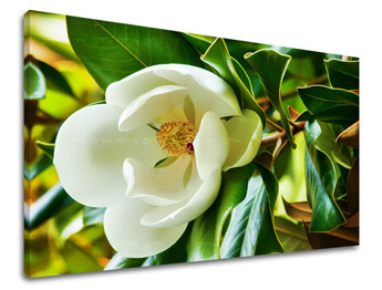 Pictură murală FLOWERS KV003E11