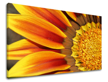 Pictură murală FLOWERS KV005E11