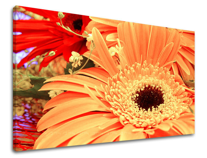 Pictură murală FLOWERS KV006E11