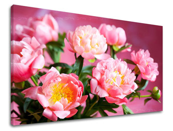 Pictură murală FLOWERS KV013E11