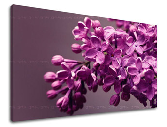 Pictură murală FLOWERS KV020E11