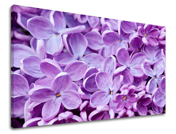 Pictură murală FLOWERS KV046E11