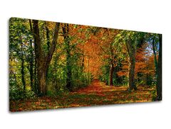 Pictură murală PANORAMA TREES 60x120 cm