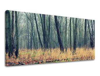 Pictură murală PANORAMA TREES ST019E13