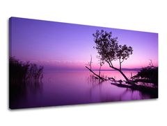 Pictură murală PANORAMA WEST SLNKA 50x100 cm