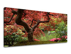 Tablou de perete PANORAMA TREES XOBST001E13 50X100 cm