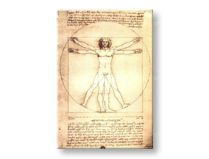 Tablouri VITRUVIAN MAN – Leonardo Da Vinci