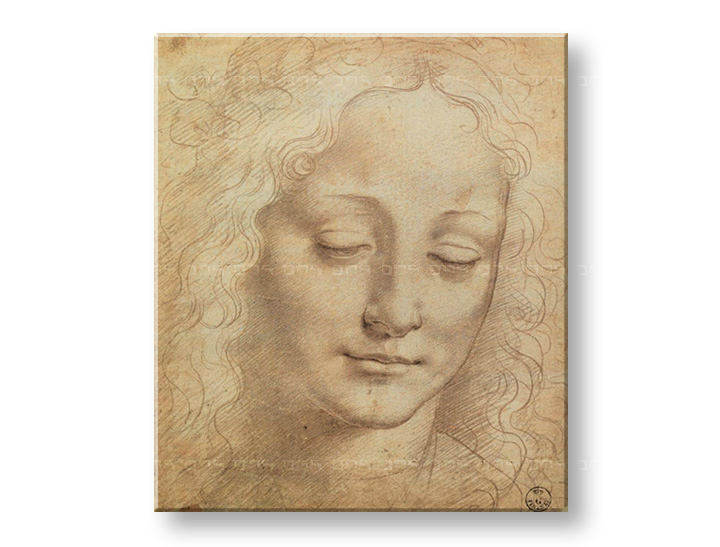 Tablouri CHIP DE FEMEIE 3 – Leonardo Da Vinci