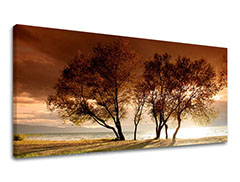 Tablouri canvas COPACI Panorama ST026E13